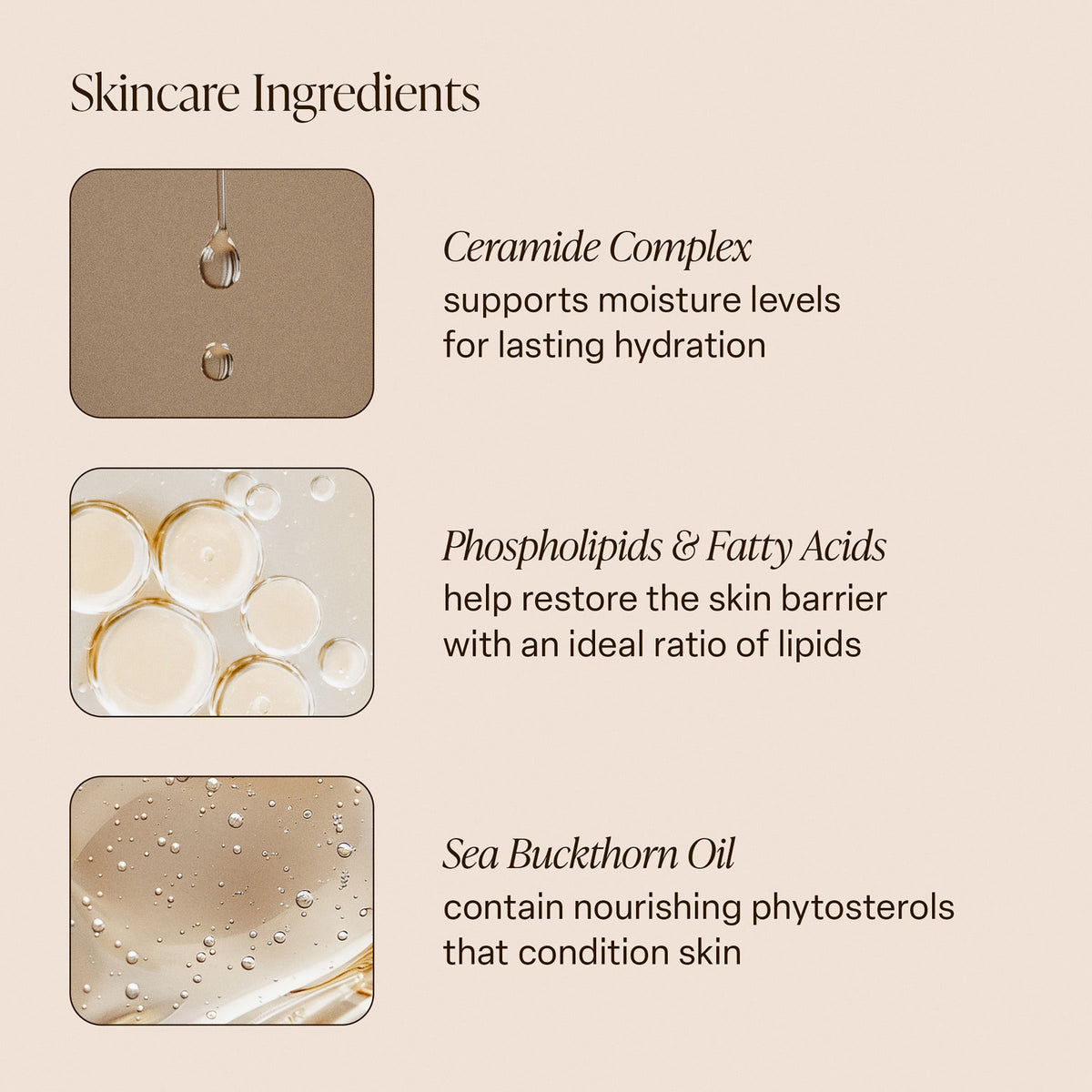 Santal Bloom - Body Butter