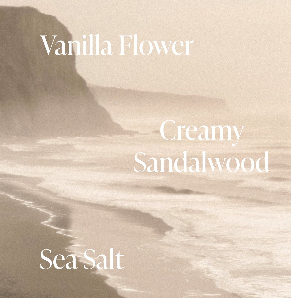 Salt Water Vanilla - Body Duo
