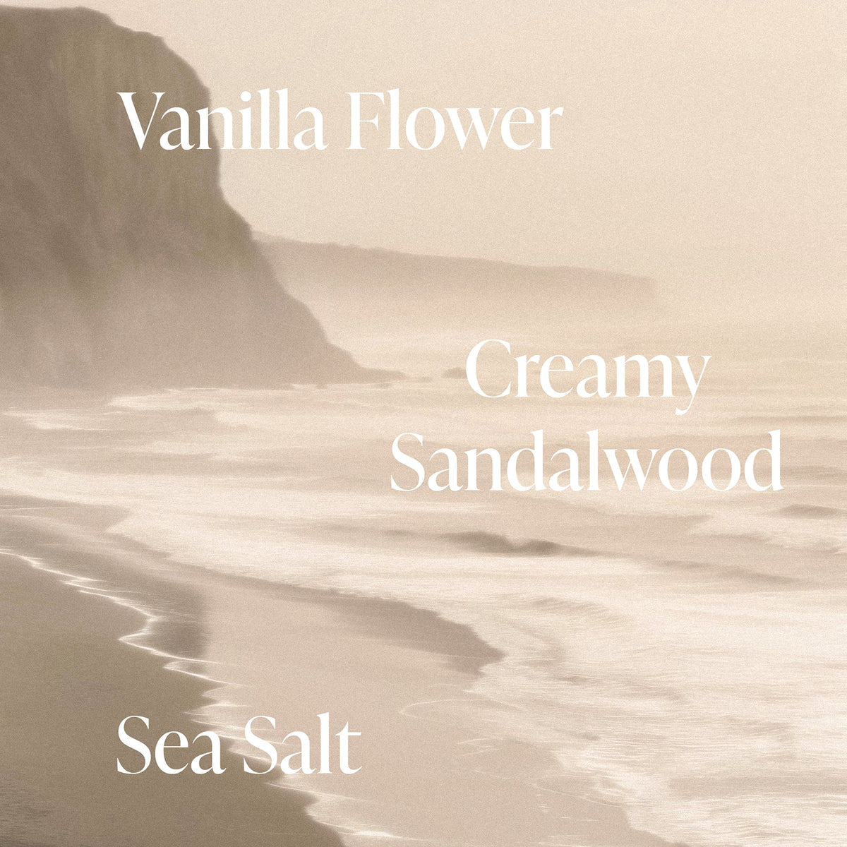 Salt Water Vanilla Discovery Holiday Travel Ready Set - Holiday Kit