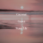 Coral Coast - Body Scrub