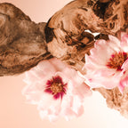 Santal Bloom Shower Rituals - Holiday Kit